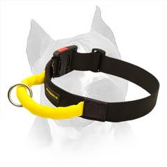 Top Grade Amstaff Dog Collar Has Durable O-Ring