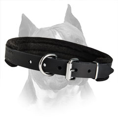 Amstaff Dog Collar With Easily Fixed Buckle