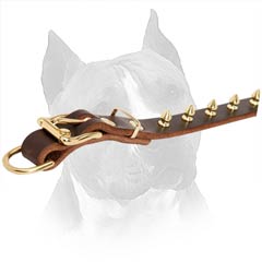 Durable Dog Collar Will Serve Your Amstaff For A Long  Time