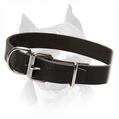 Premium Leather Dog Collar With Steel Hardware