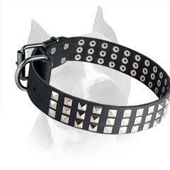 Leather Amstaff Dog Collar with Steel Nickel Plated Buckle and D-ring