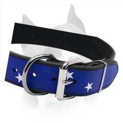 Water Resistant High-Quality Leather Dog Collar With  D-Ring