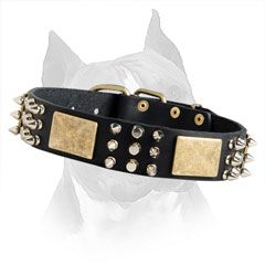 Fantastic Decorated Leather Dog Collar With Buckle And  D-Ring