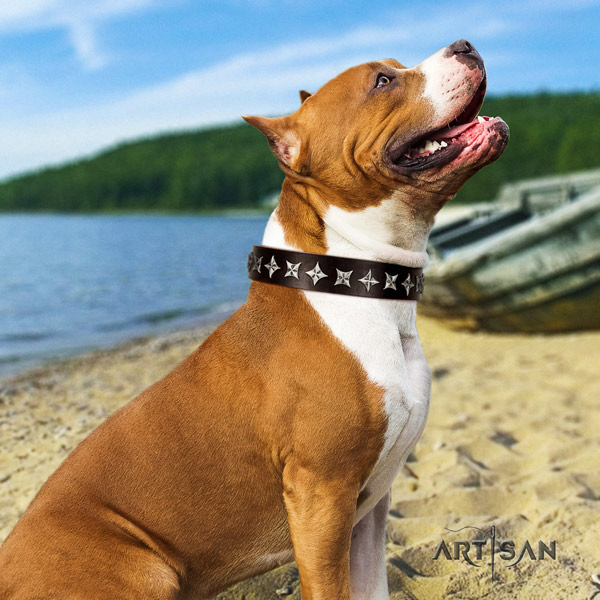 Amstaff handy use full grain natural leather dog collar with adornments