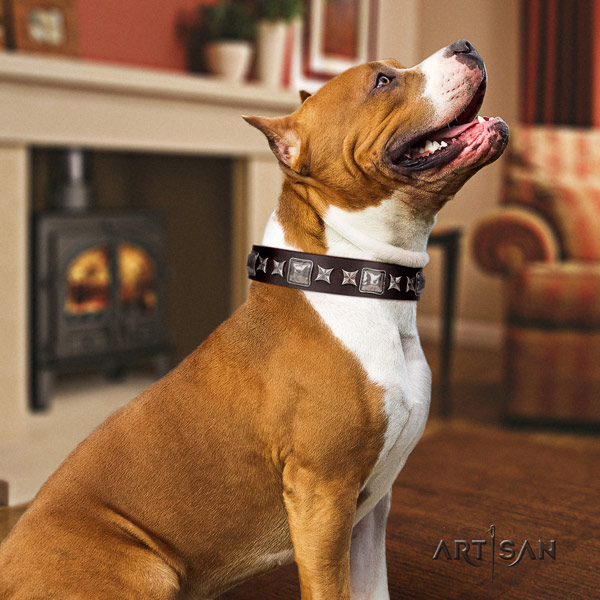 Amstaff exquisite leather dog collar with decorations for easy wearing
