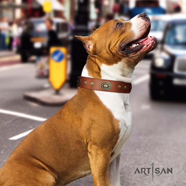Amstaff easy wearing natural genuine leather dog collar with decorations