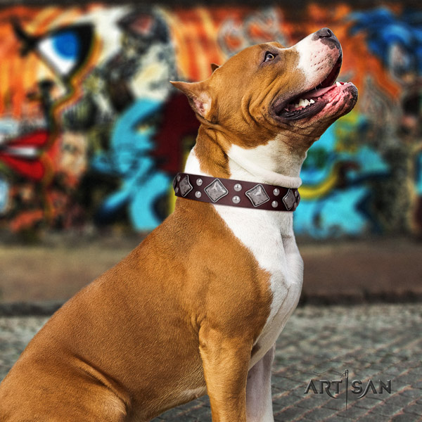 Amstaff trendy genuine leather dog collar with decorations for comfortable wearing