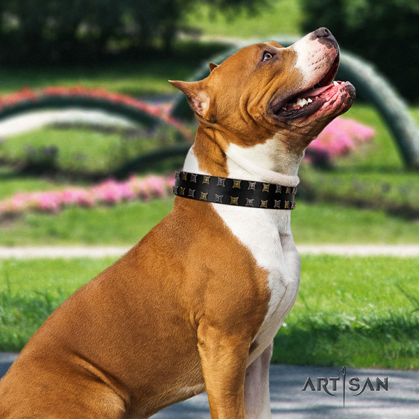 Amstaff top notch natural genuine leather dog collar for comfy wearing