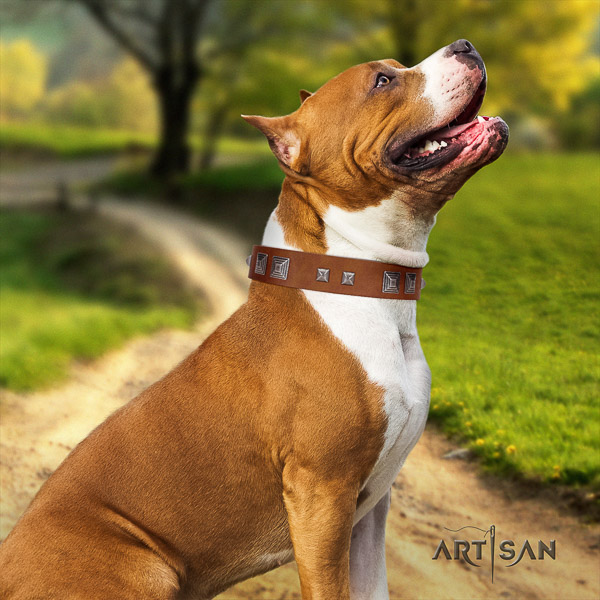 Amstaff easy adjustable full grain leather dog collar for easy wearing