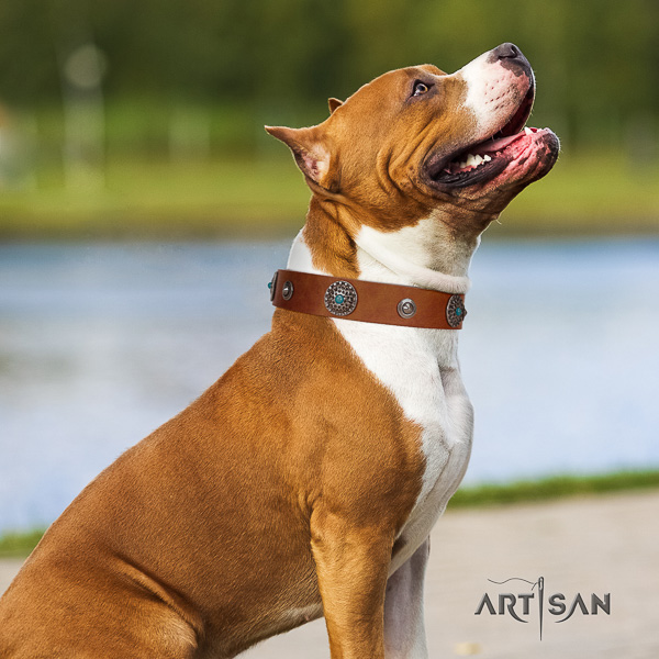 Amstaff inimitable genuine leather dog collar for daily walking