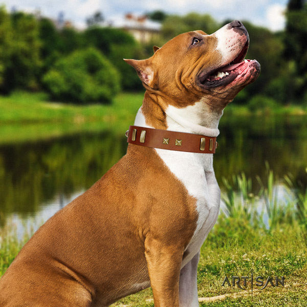 Amstaff amazing full grain genuine leather dog collar for comfy wearing