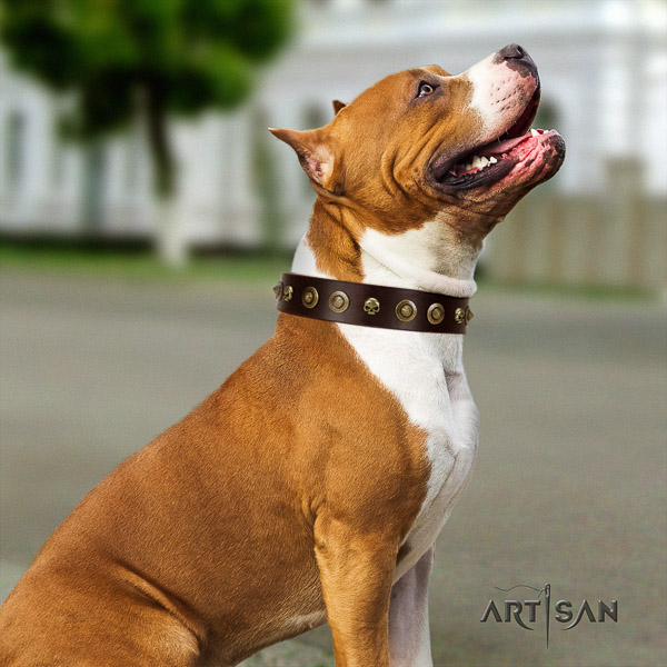 Amstaff handcrafted natural genuine leather dog collar for easy wearing