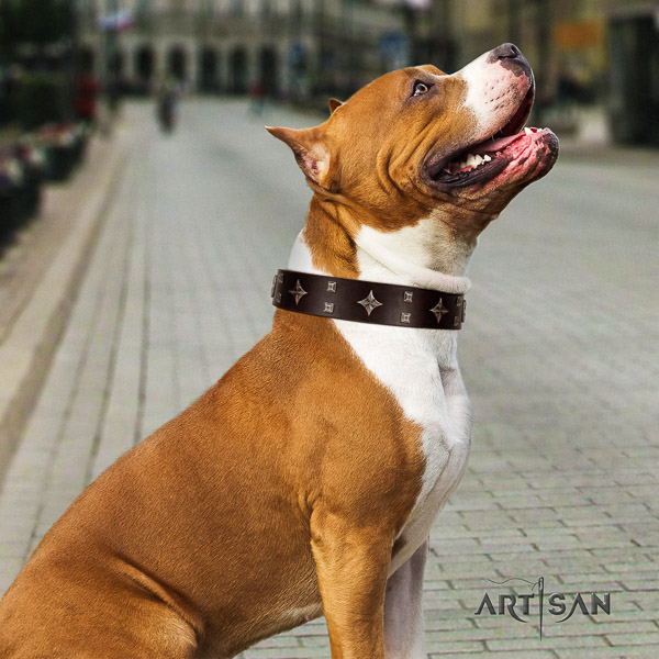 Amstaff exquisite full grain genuine leather dog collar for comfortable wearing