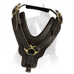 Amstaff Dog Harness Made Of Non-Toxic Materials