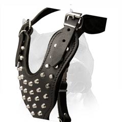 100% Natural Leather Dog Harness With Soft Felt  Padding