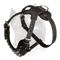 Easy In Use Dog Harness Made of Fully Safe Materials