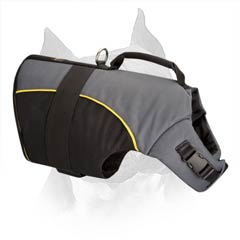 Amstaff Dog Harness Distributes The Hitting Power Over  the Dog's Chest