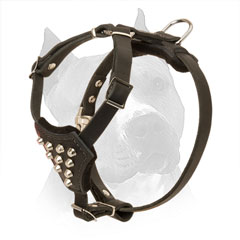 Puppy Leather Harness for Amstaff Everyday Walking