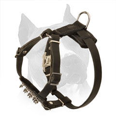 Puppy Leather Harness for Amstaff with Rust-proof Hardware