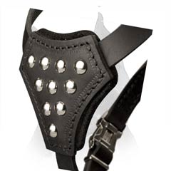 Chest Plate with Half Ball Studs of Leather Amstaff Puppy Harness