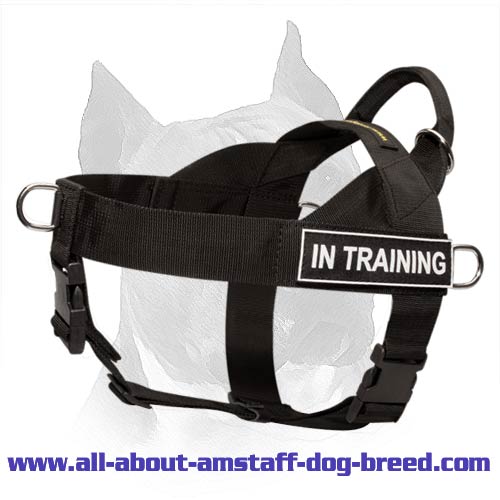 Dog Harness Nylon with Patches [H17##1037 Nylon harness with patches] :  Exclusive Dog Breed: Dog Harness, Muzzle, Collar, Leash, Dog Supplies