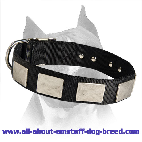 Order All Weather Nylon Amstaff Collar