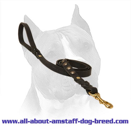 Amstaff Dog Leash With A Durable Brass Snap Hook