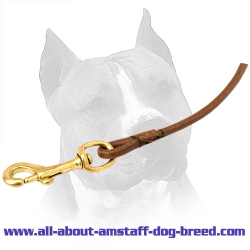 Leather Dog Leash With Decorative Stitching