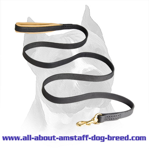 American Staffordshire Terrier Leash Leather with Easy in Use Massive Snap Hook