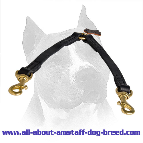 Coupler Stitched Amstaff Leather