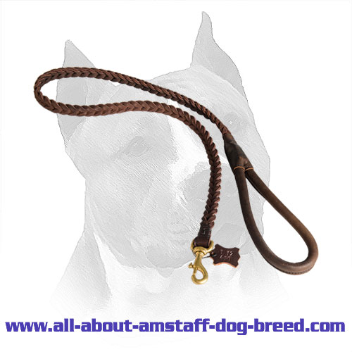 Amstaff Braided Leather Leash with Easy-to-attach Snap Hook