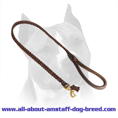 Braided Leather Leash for Amstaff Comfortable Handling