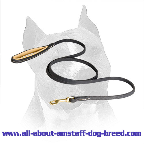 Stitched Leather Amstaff Leash with Rust Resistant Snap Hook