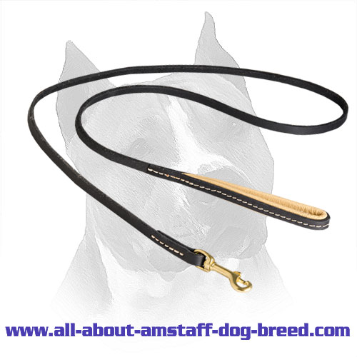 Leather Leash for Amstaff with Nappa Padding on Handle