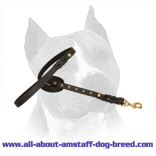 American Staffordshire Terrier Dog Leash With Comfy  Handle