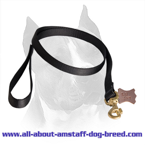 Nylon Dog Leash for Amstaff with Firm Hardware 