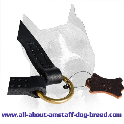 O-Ring Floating Brass Of Amstaff Coupler